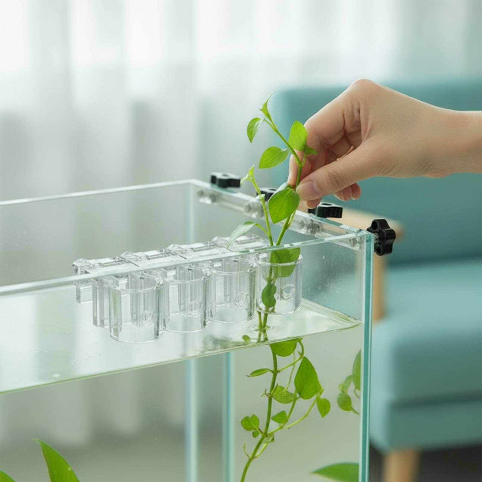 Aquarium Plants - 6 Pieces Aquarium Planter Clear Hydroponic