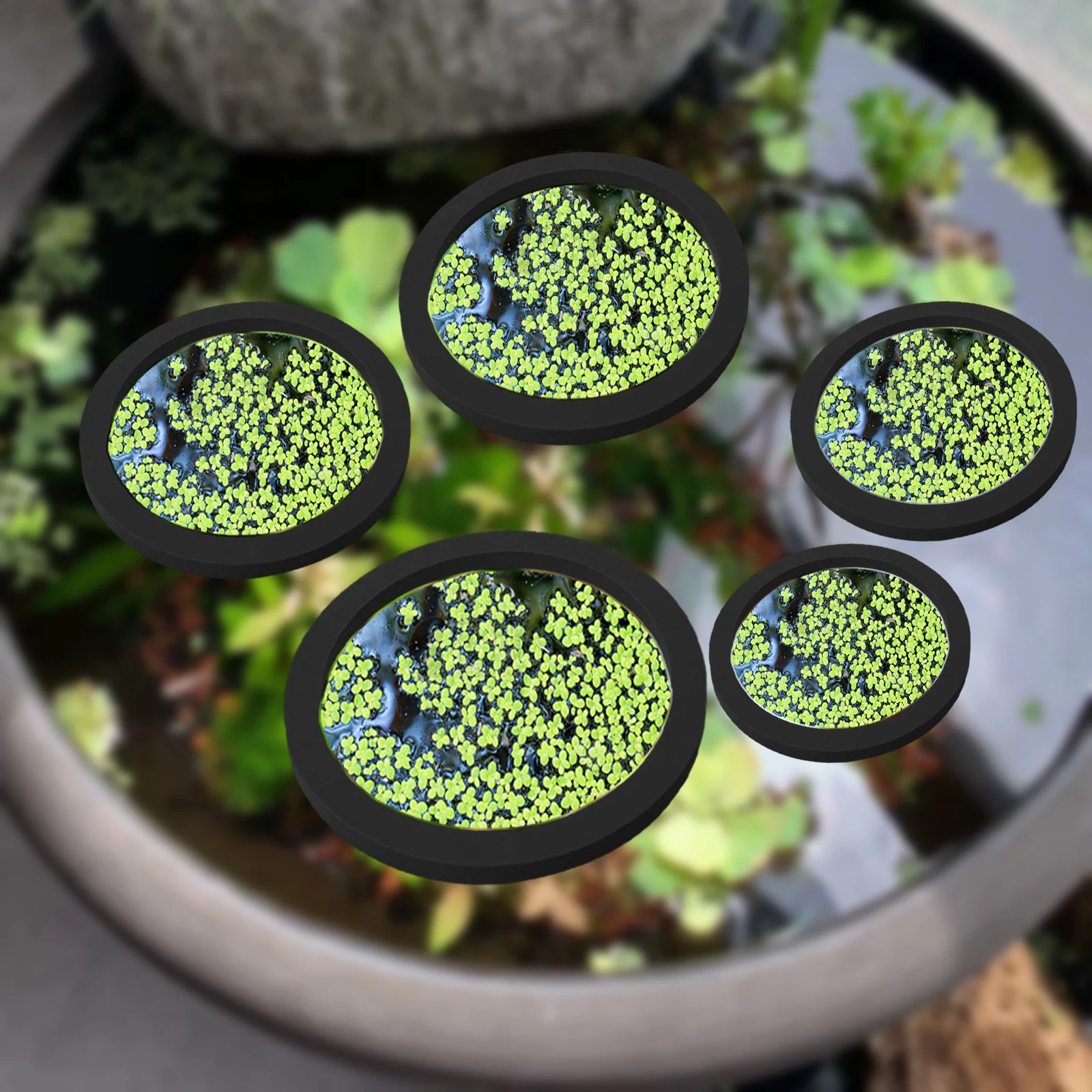 Aquarium Plants - 5Pcs EVA Fish Feeding Ring Aquarium