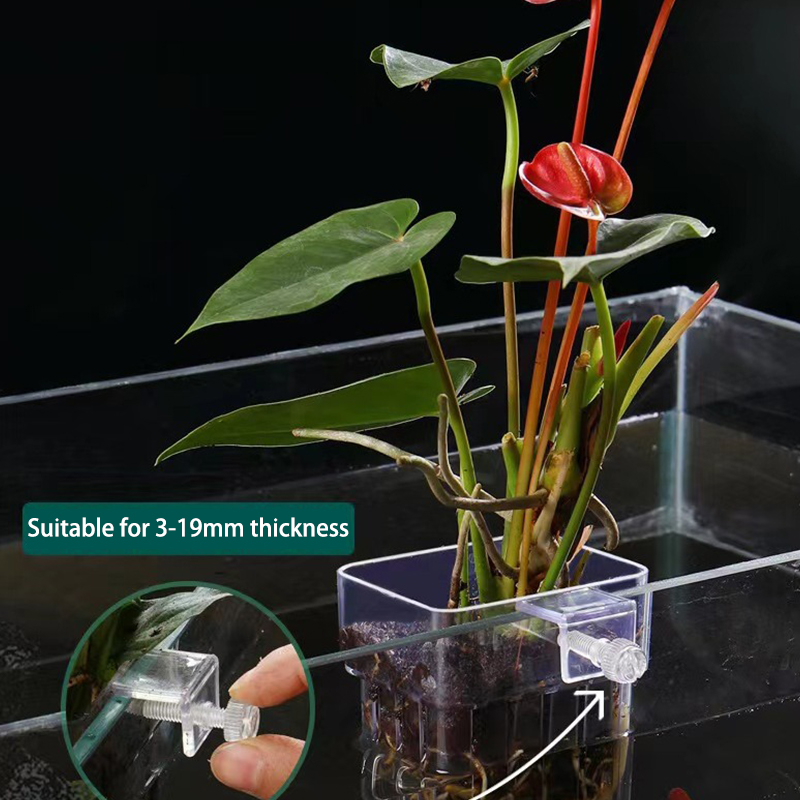 Aquarium Plant Grass - Multifunctional Fish Aquarium Water Grass Planting