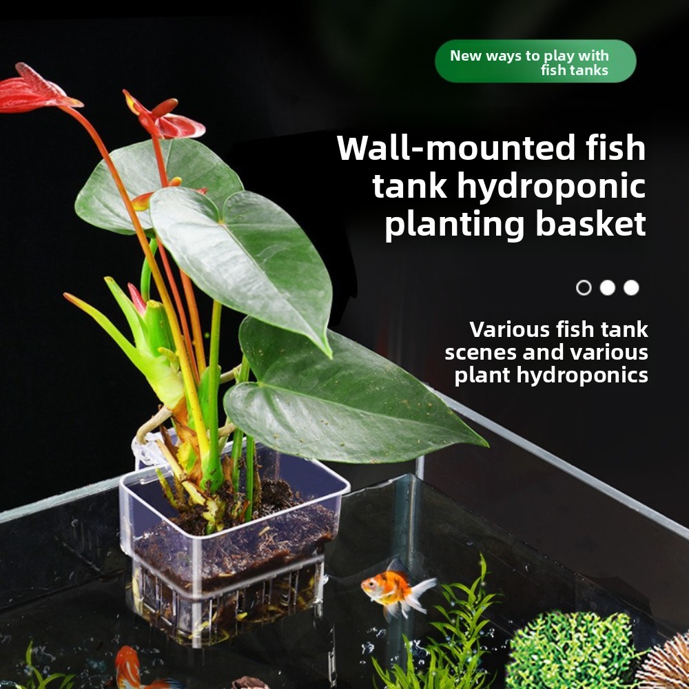 Aquarium Plant Grass - Aquarium Hydroponic Planting Basket Fish Bubbles