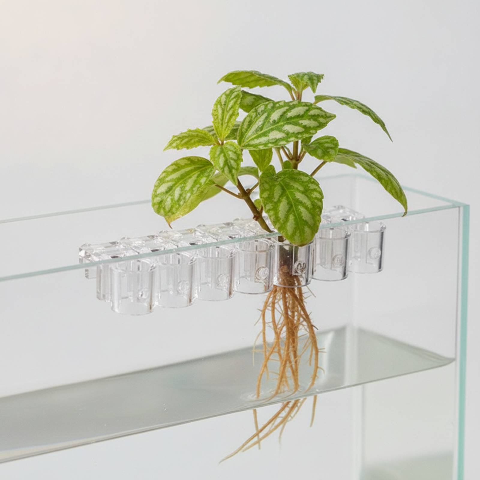 6 Pieces Aquarium Planter Clea - Aquarium Plants review and price