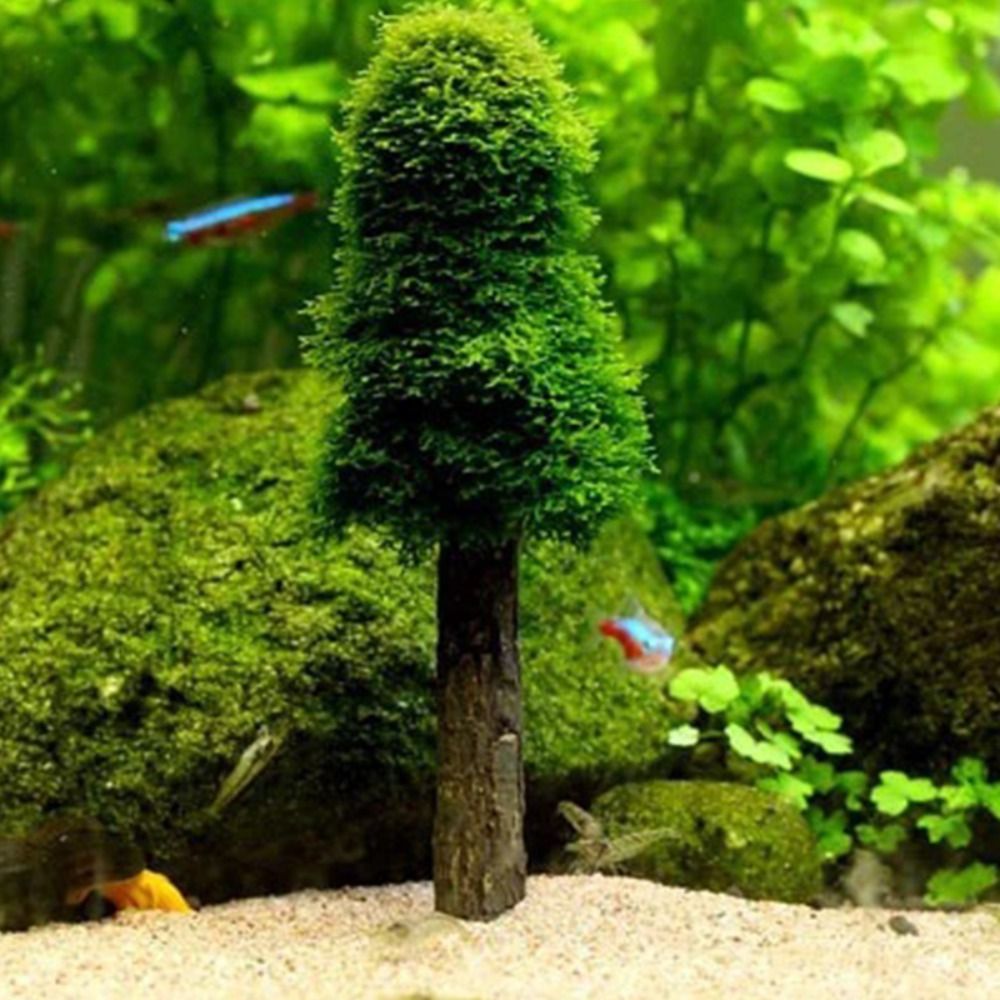 Simulation Christmas Tree Aqua - Planted Aquarium Moss review and price