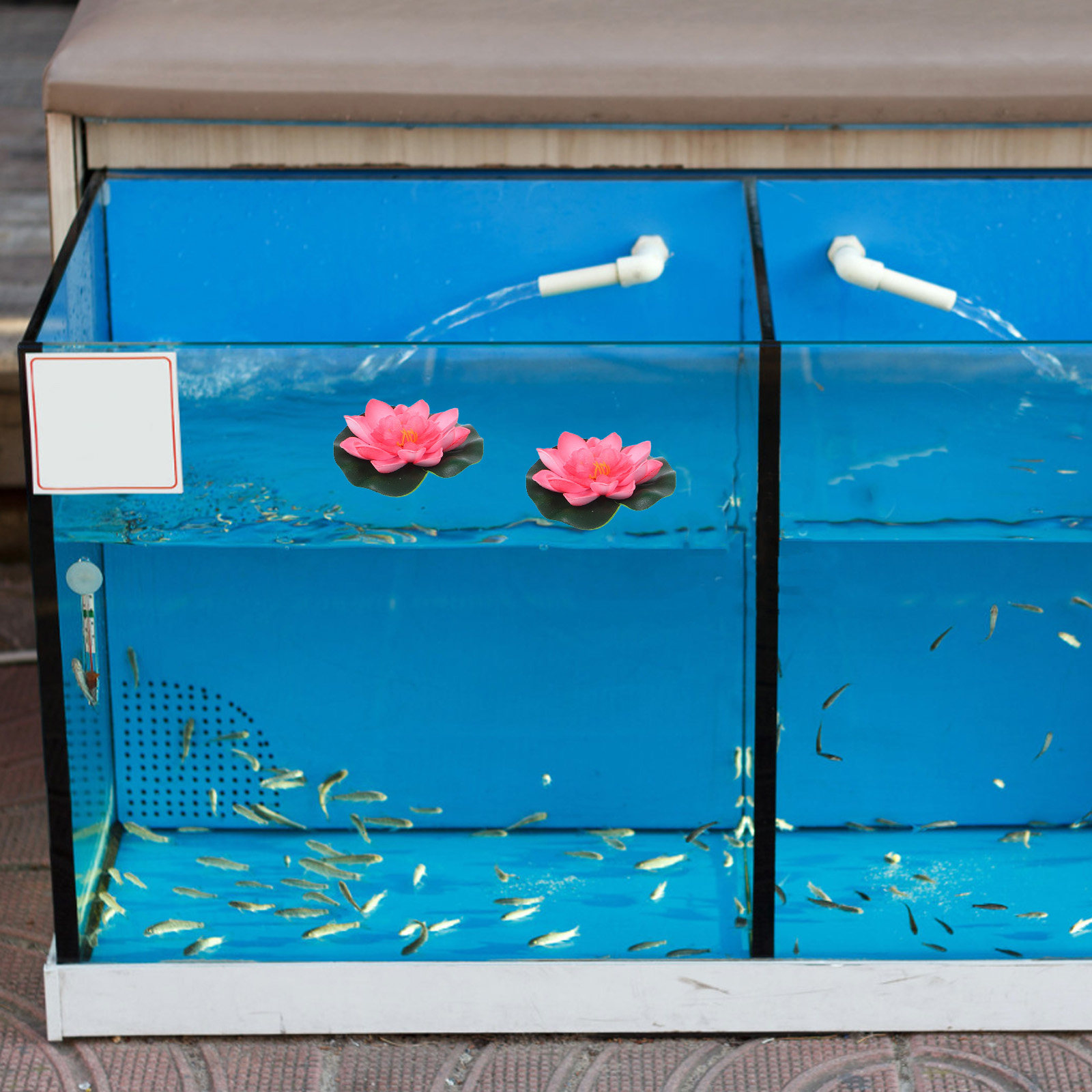 12Pcs Artificial Floating Wate - Aquarium Plants review and price