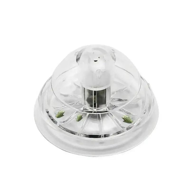 2026 New 6/8CM Clear Plastic S - Aquarium Planted Fish Tank review and price