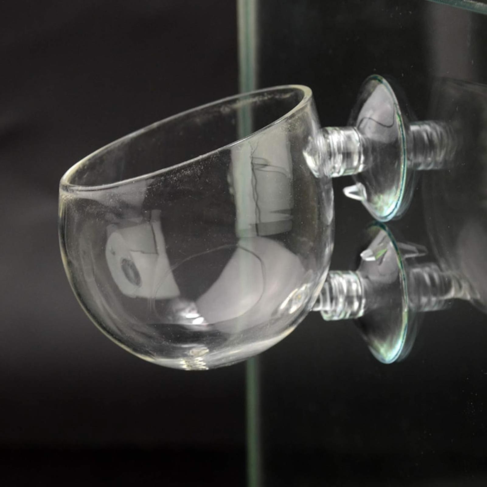 Aquarium Plant Holder Glass Aq - Planted Aquarium Aquascape review and price