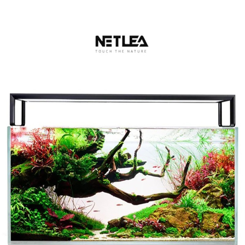 Netlea AT5S V3 Smart Wifi APP  - Planted Aquarium Aquascape review and price