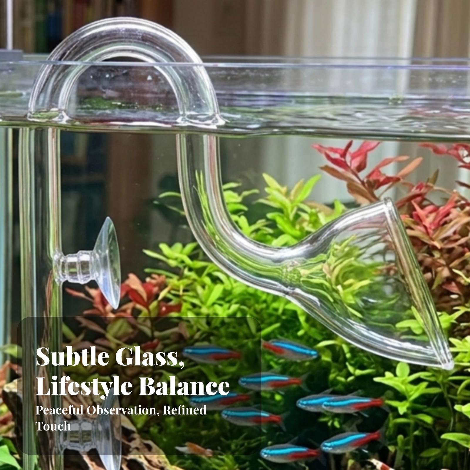 Aquarium Filter Inlet and Outl - Planted Aquarium Aquascape review and price