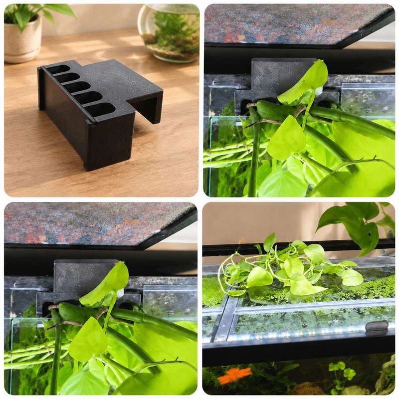 Fish Tank Side Plant Mount Bra - Aquarium Plant Diseases review and price