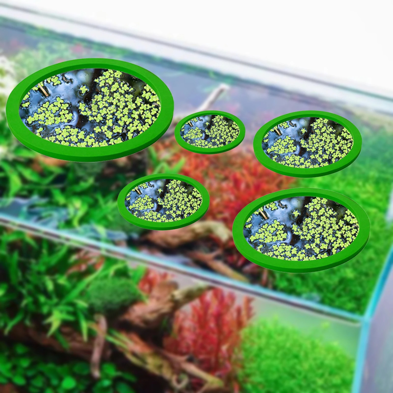 5Pcs EVA Fish Feeding Ring Aqu - Aquarium Plants review and price