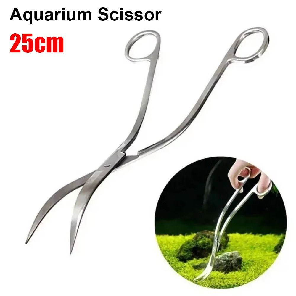 1Pcs Stainless Steel Aquarium  - Aquarium Plant Grass review and price