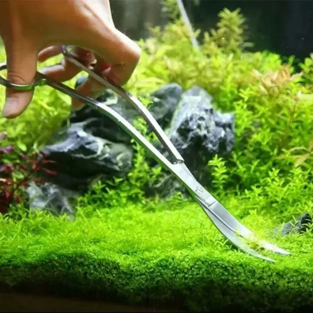 1Pcs Stainless Steel Aquarium  - Aquarium Plant Grass review and price