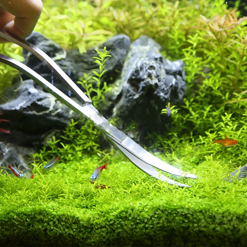 Aquarium Scissor Tools Fish Ta - Aquarium Plant Grass review and price