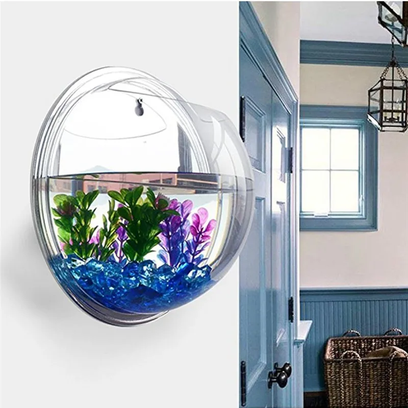 Transparent acrylic hanging wa - Aquarium Plant Grass review and price