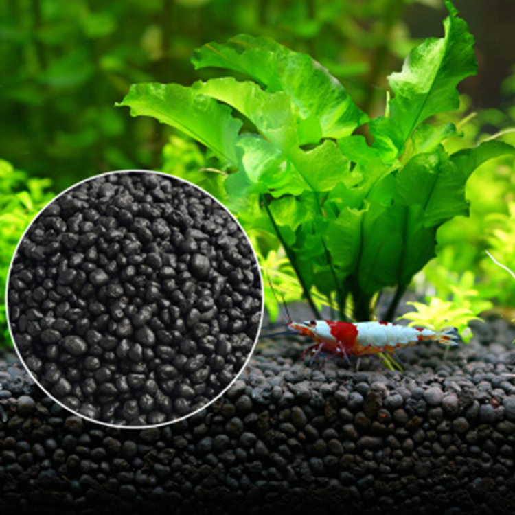Aquarium Plant Seeds Soil Fish - Aquarium Plant Grass review and price