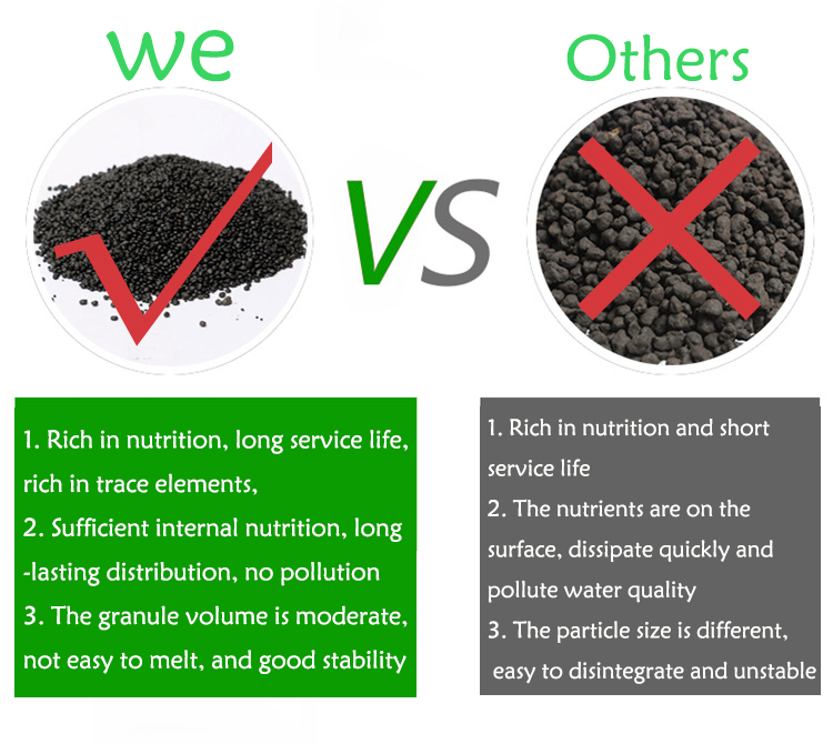 Aquarium Plant Seeds Soil Fish - Aquarium Plant Grass review and price