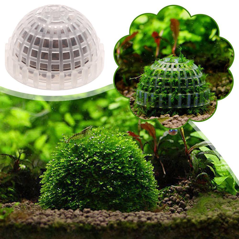 1-5PCS Aquarium Decoration Pla - Aquarium Plant Red review and price