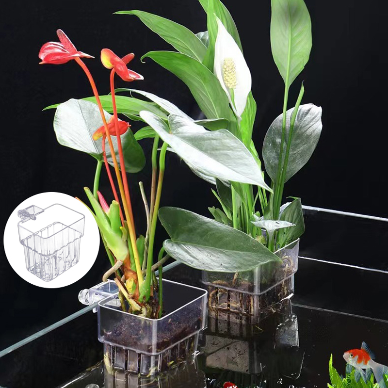 Multifunctional Fish Aquarium  - Aquarium Plant Grass review and price