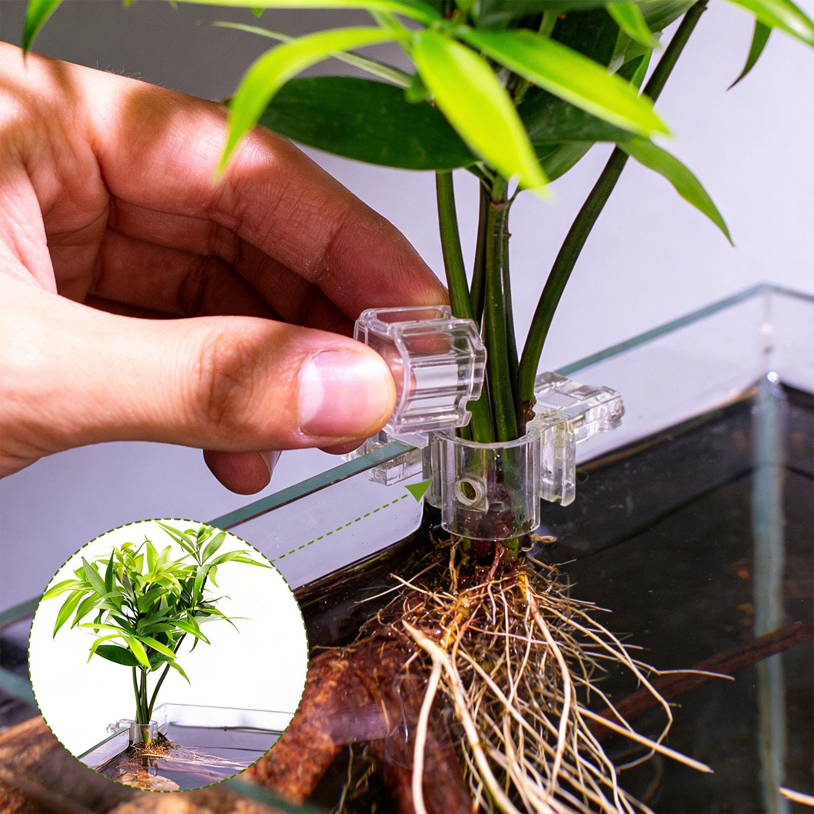 Plant Holder For Aquarium 6 Pi - Aquarium Plant Diseases review and price