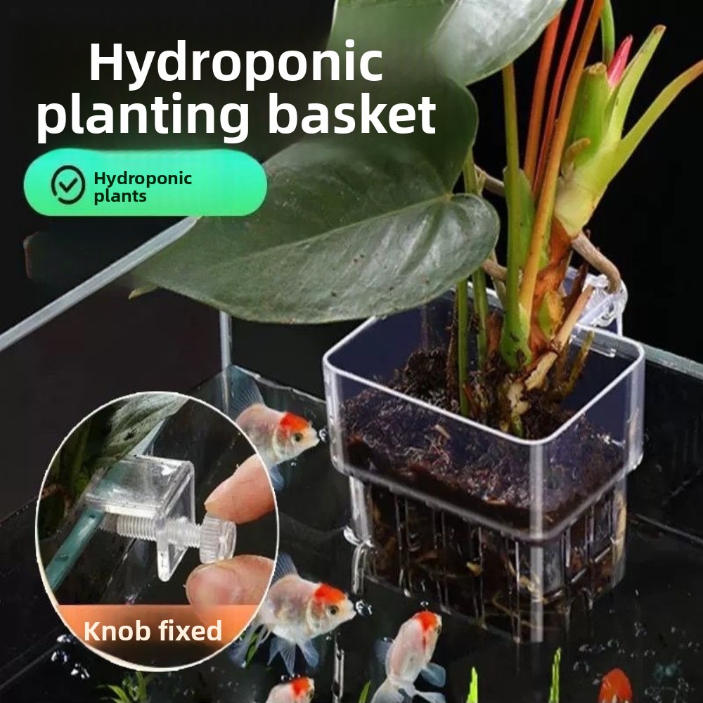 Aquarium Hydroponic Planting B - Aquarium Plant Grass review and price